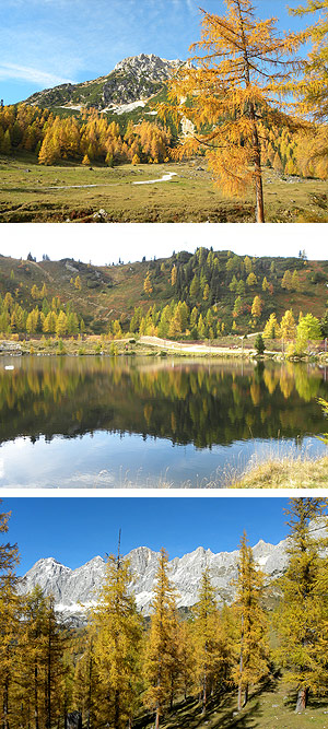 Die stimmungsvolle Herbst, Natur Wanderwoche - geführte Wandertouren
