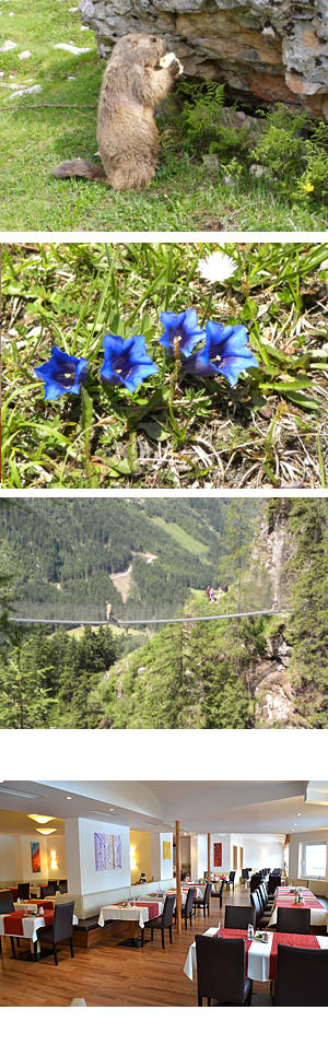 Urlaub in Schladming-Dachstein
